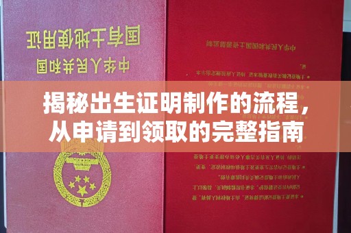渠县揭秘出生证明制作的流程，从申请到领取的完整指南