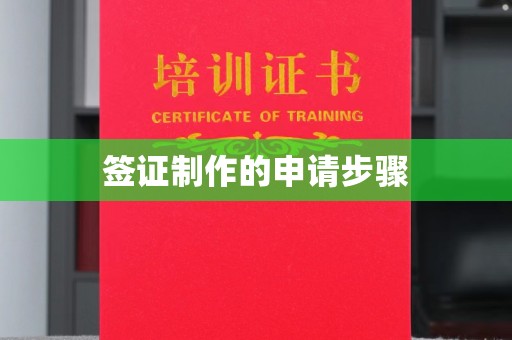 渠县签证制作的申请步骤