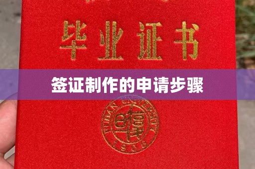 渠县签证制作的申请步骤
