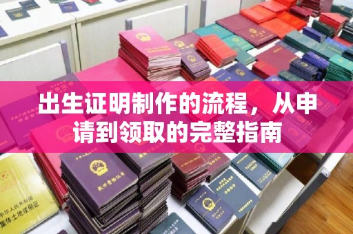 渠县出生证明制作的流程，从申请到领取的完整指南